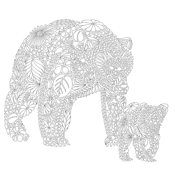 Animal Kingdom - medvědi